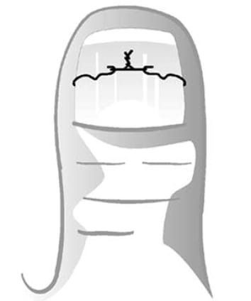 313 242 000.jpg